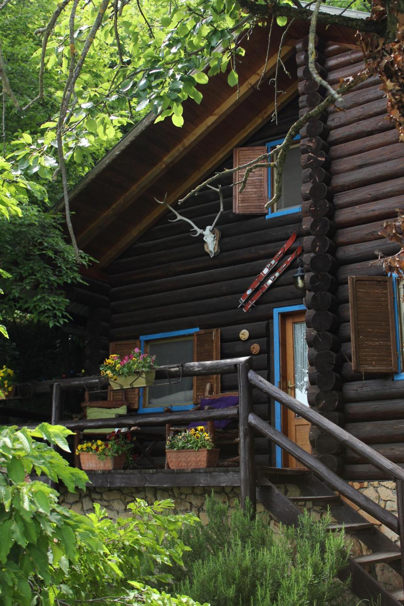 B&B Le Corone - Chalet Nel Bosco Cavalo Luaran gambar