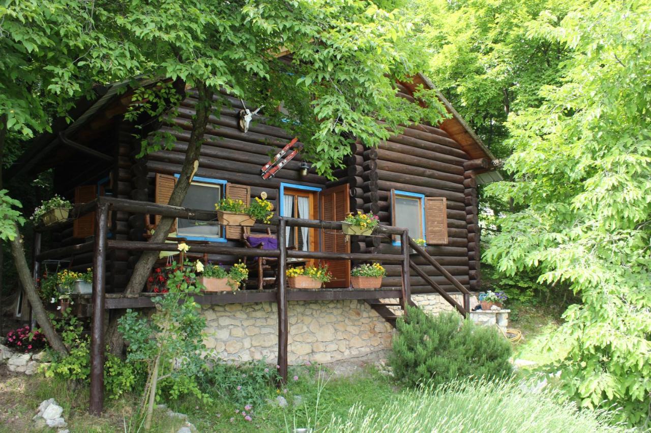 B&B Le Corone - Chalet Nel Bosco Cavalo Luaran gambar
