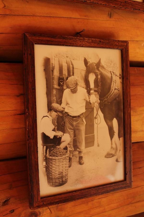 B&B Le Corone - Chalet Nel Bosco Cavalo Luaran gambar