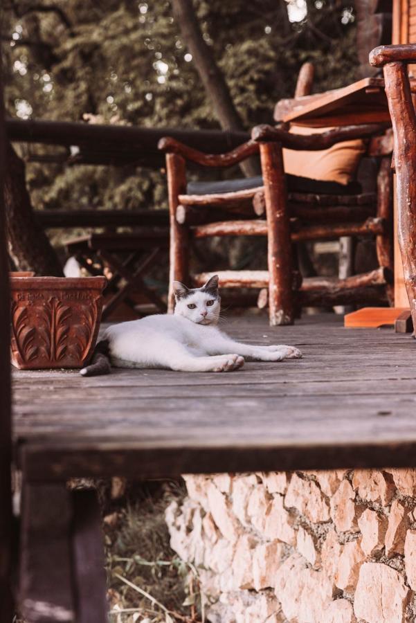 B&B Le Corone - Chalet Nel Bosco Cavalo Luaran gambar