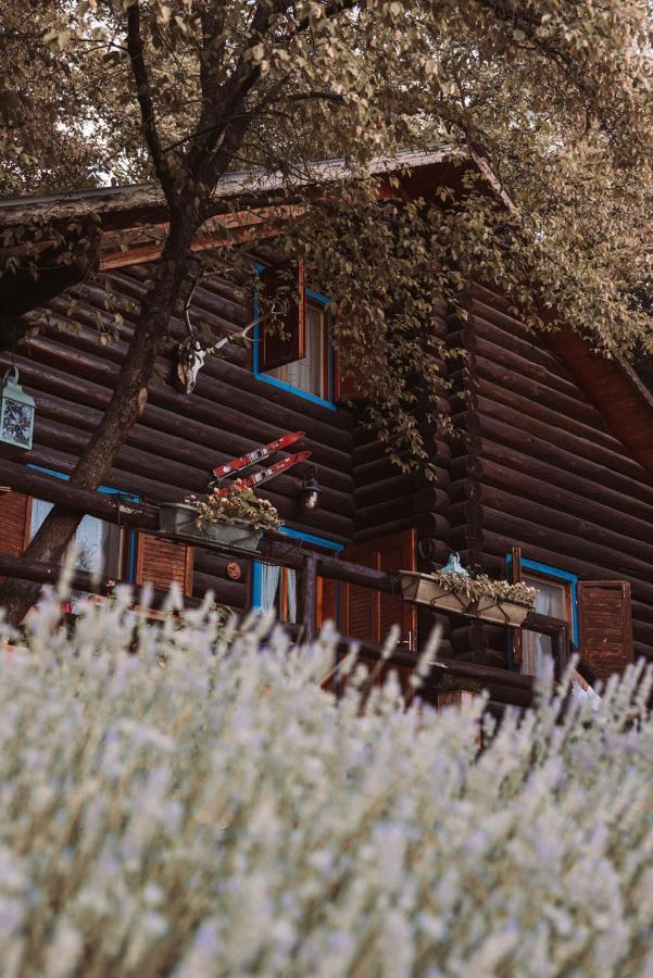 B&B Le Corone - Chalet Nel Bosco Cavalo Luaran gambar