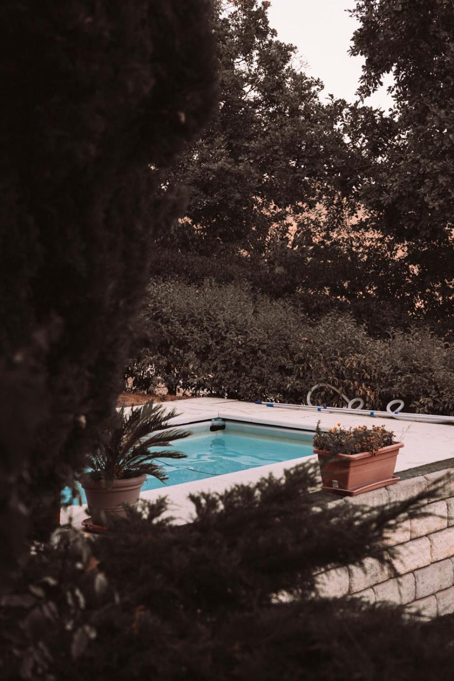 B&B Le Corone - Chalet Nel Bosco Cavalo Luaran gambar